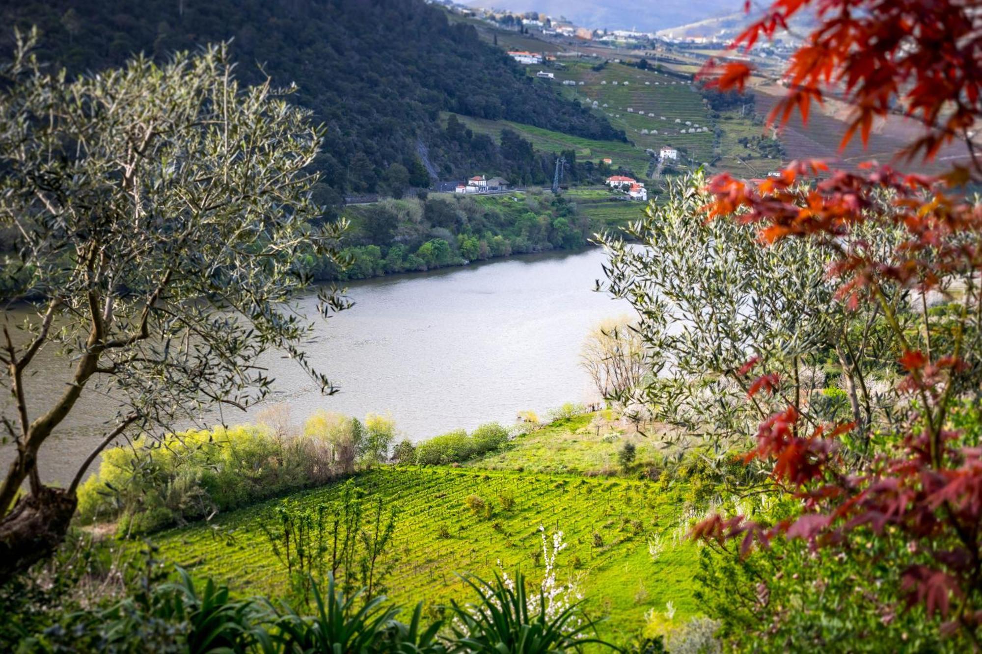 Fraga Douro House, Douro Valley Resende Ngoại thất bức ảnh